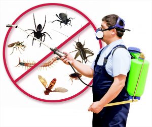Pest Control Exterminator
